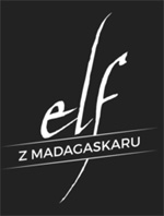 Elf z Madagaskaru - poznaj blog Doki